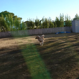 ロングリード♪の画像