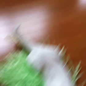 『育てる』というよりもの画像