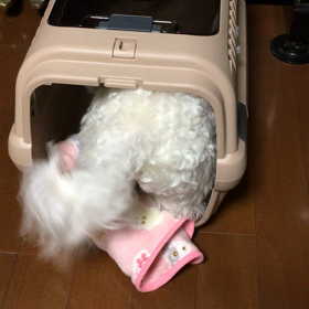 くるみ式ストレス解消法。の画像