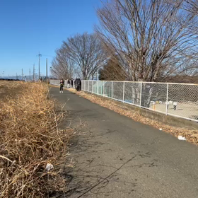 東金子駅伝（下り坂）５区　アンカー④の画像