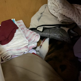 まさか、こんなところでの画像