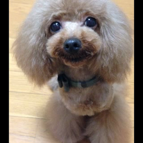 ハマってます（笑）の画像