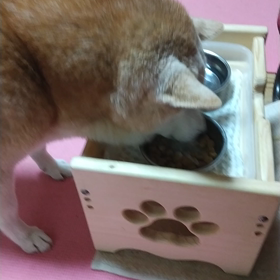 春の七草ゴン兄さん感謝でいっぱい❗️の画像