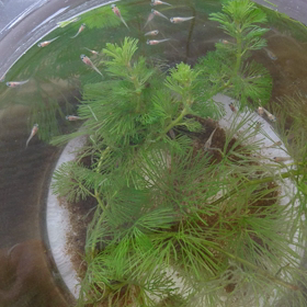 飛び出し注意⚠の画像