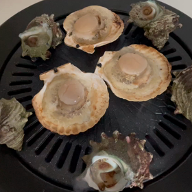 リベルサス開始 32日目～34日目の画像