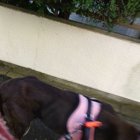 はぁはぁの画像