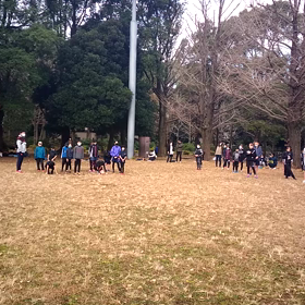 ダッシュ(その他グループ)②の画像