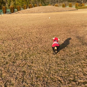 今日から２月です❗️の画像