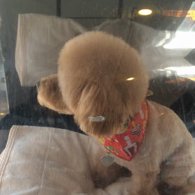 ⬛️8/23〜8/29＊酸素カプセルご利用のお友達⬛️2の画像