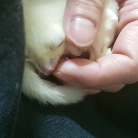 ♪触れ合いタイム♪の画像