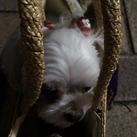 暑いね〜の画像