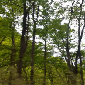 グリーンを目一杯の画像