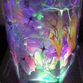 癒しの ハーバリウムの画像