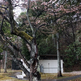 4月なのに雪の画像