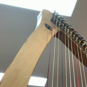 ハニュウと言えばの画像