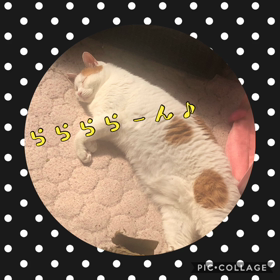 真夏日でしたの画像