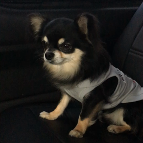 お出かけ♡の画像