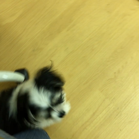 いっぱい動けるようになりましたね。の画像