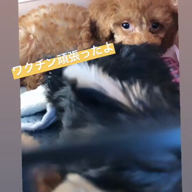 *☻募集中のＷはるクン☻*の画像