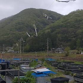 プチ旅へ(*^^*)の画像