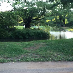 ♪お散歩動画♪代々木公園♪の画像