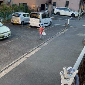 華、帰宅の画像