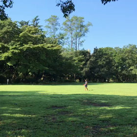 9月5日 ジャベリック練習④の画像