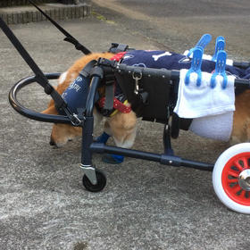 しもやけの画像