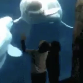 いーリアクション！！の画像