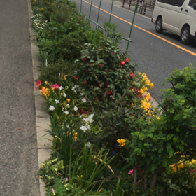 この記事の画像