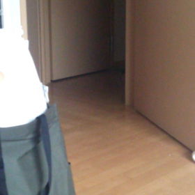 迫り来るもふもふの画像