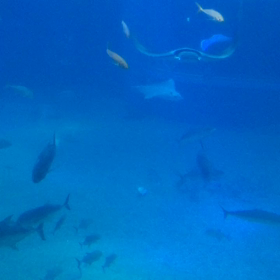 はじめまして！の画像