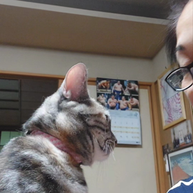 かまってちゃんの画像