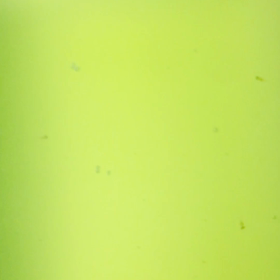 産卵&孵化の画像