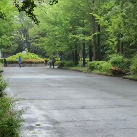 5/20 リレー選考会①の画像