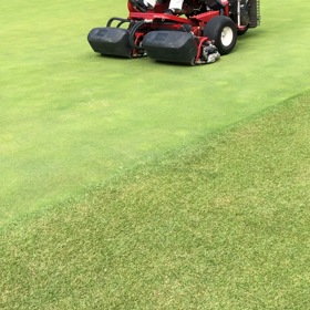 【練習】秋の月例4連戦（2nd）に向けて〜パッティング〜の画像