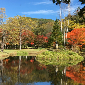 カラフルな日の画像