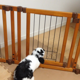 無意味。の画像