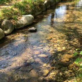 これだから〜♪〜やめられないっ！の画像