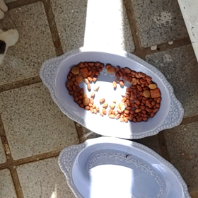 体調不良...の画像