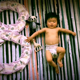 8m0d Lioさん8ヶ月❤️Movieの画像