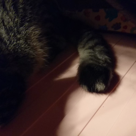 心春の事件簿？の画像