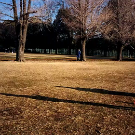 航空公園練習1000m ２組目②の画像