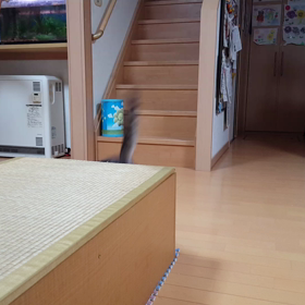 小春日記。の画像