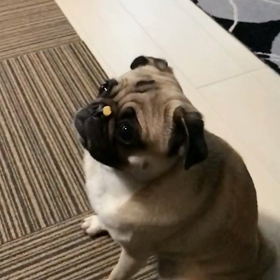 難しいですの画像