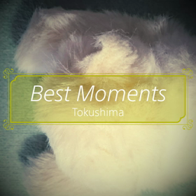 まるで手術のような!?の画像