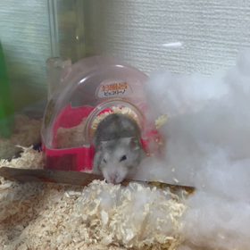 体復活☆の画像