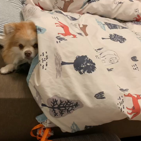 この場所はの画像