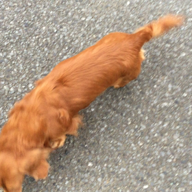 ほぼ快復かなぁ？の画像