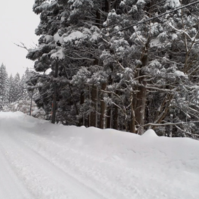 大晦日、帰省の画像